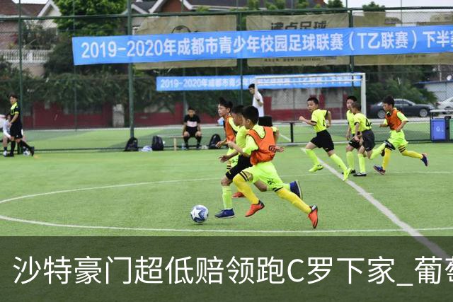 沙特豪门超低赔领跑C罗下家 葡萄牙球王下站已定?