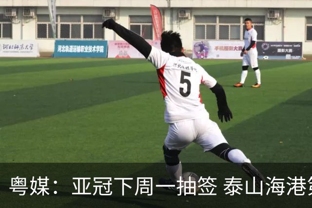 粤媒：亚冠下周一抽签 泰山海港第1档广州第2档